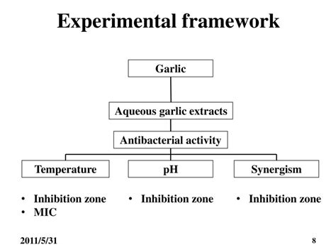 Study On The Antibacterial Activity Of Garlic Extracts Ppt