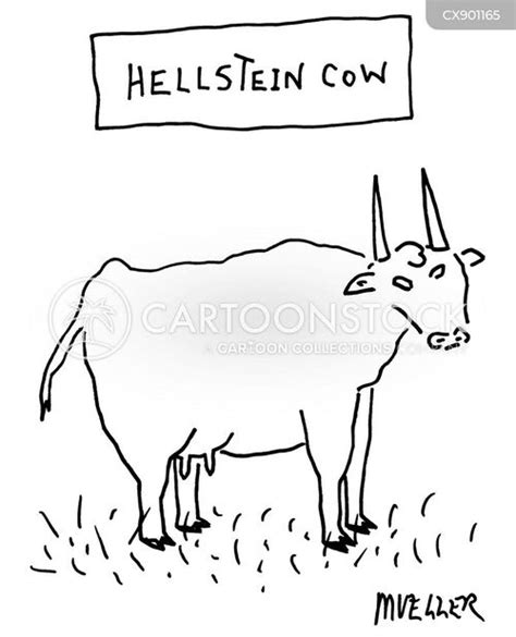 Holstein Cow Cartoons and Comics - funny pictures from CartoonStock