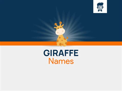 692+ Giraffe Names for Your Tall Friend! - BrandBoy