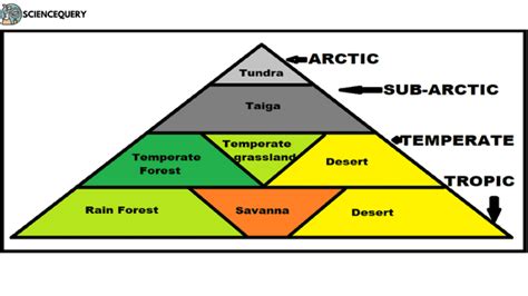 What is Biome? - ScienceQuery