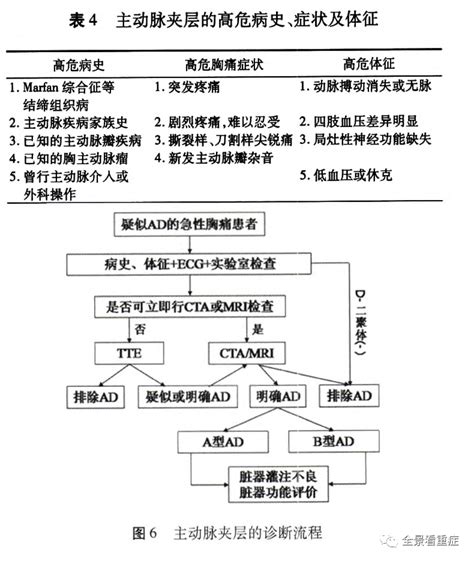 主动脉夹层的诊断和治疗主动脉并发症替换术夹层诊断治疗手术 健康界