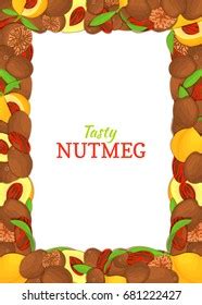 Rectangle Vertical Frame Composed Delicious Nutmeg Stock Vector