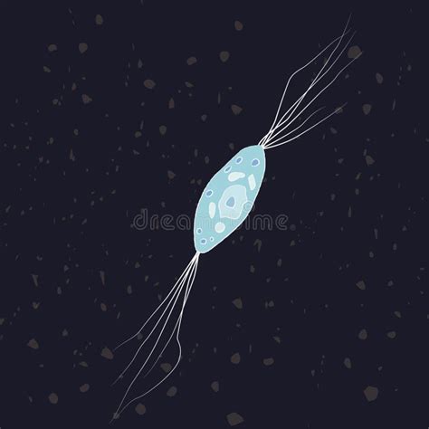 Ilustração Do Vetor Do Eukaryote único Celulado Labyrinthulea Protozoa Ilustração Do Vetor