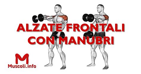 Alzate Frontali Con Manubri Esercizio Per Spalle Muscoli Info