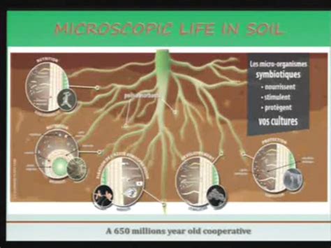 S Minaire Agro Cologie Du Les Micro Organismes Au Service