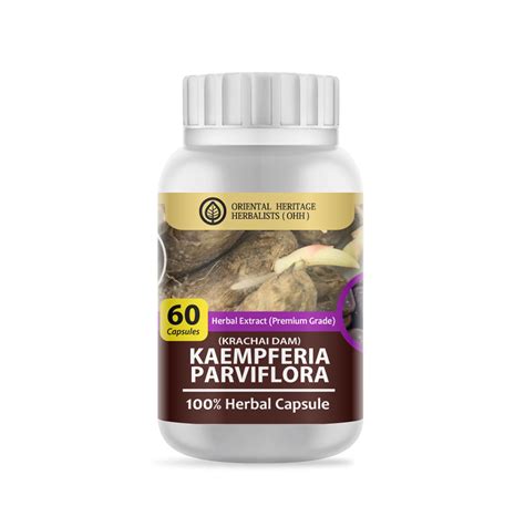 Kaempferia Parviflora Herb 60 Capsules Premium Grade