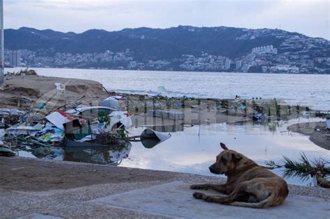 La Canaco Servitur Acapulco Rechaz Categ Ricamente El T Rmino De La