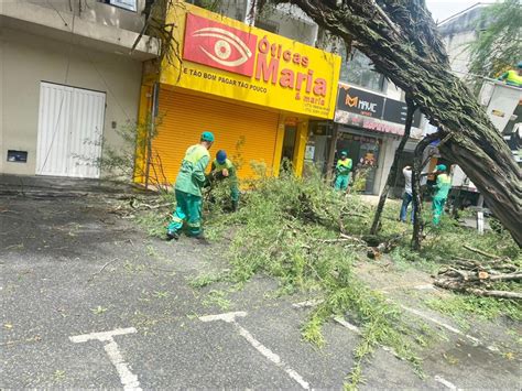 Força Tarefa Da Prefeitura De Eunápolis Remove árvore Que Inclinou No