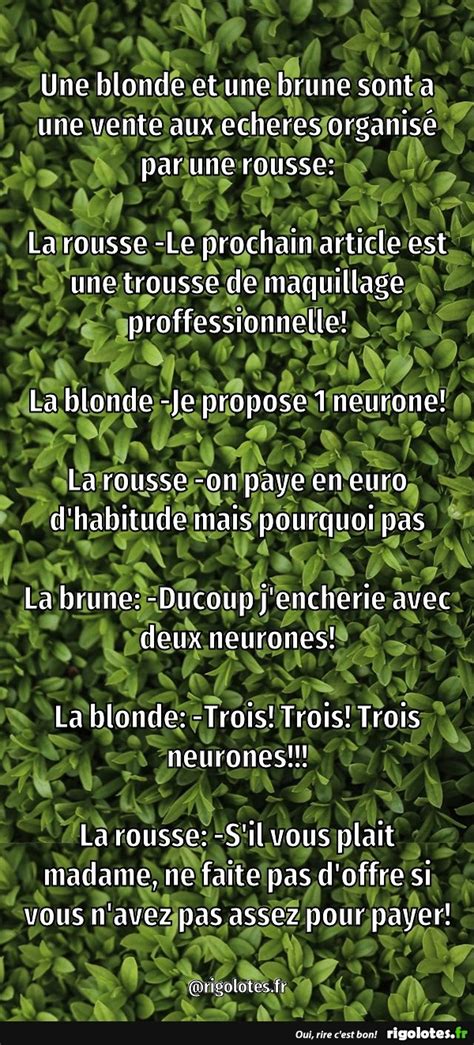 Une blonde et une brune sont Blagues et les meilleures images drôles