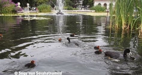 Londra Da Gezilecek Yerler Hyde Park Regent S Park Hatti Sequ Nun