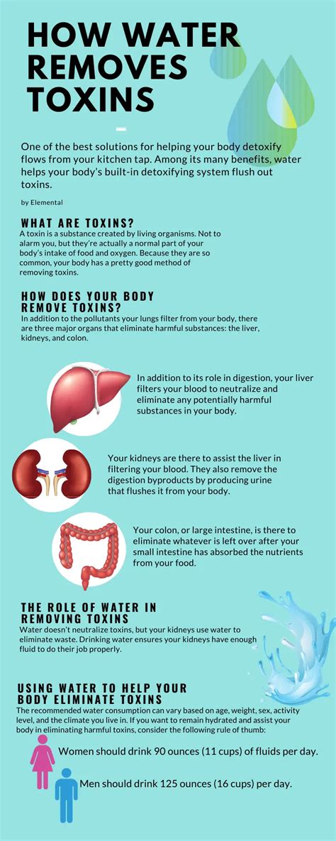 How to cleanse the body of toxins? - Healthy Food Near Me