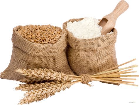 Wheat Flour Png