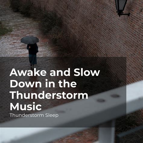 Awake And Slow Down In The Thunderstorm Music Album By Thunderstorm