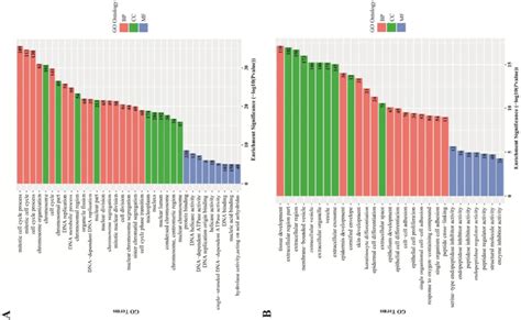 Go Terms Enrichment Analysis Of Degs Red Biological Process Green