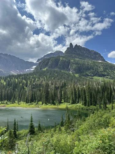 10 Best Trails and Hikes in East Glacier Park Village | AllTrails