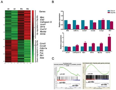 Microarray Analysis Identified Candidate Genes Regulated By Cbp A