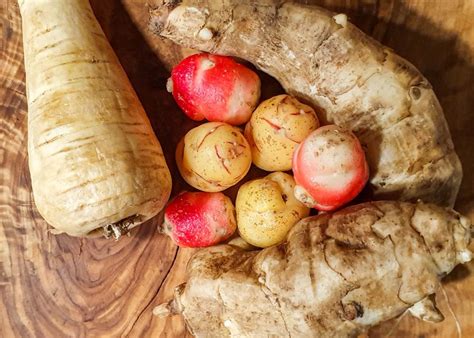 Cours Sur Les L Gumes Anciens La Maison D C T