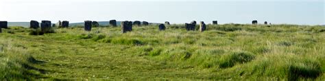 Dartmoor National Park - Wikitravel