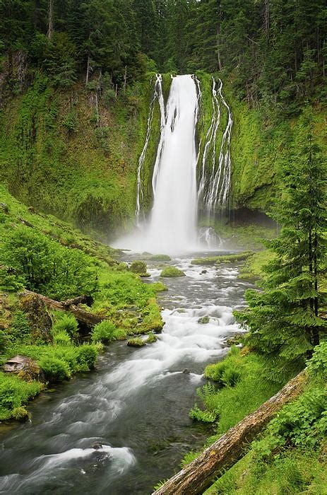 Lemolo Falls Douglas County Oregon Is Both The Tallest And Most