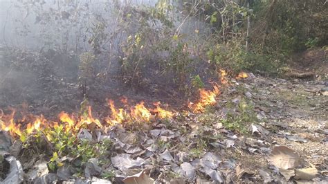 Kesengajaan Penyebab Meningkatnya Kebakaran Hutan Di Tulungagung