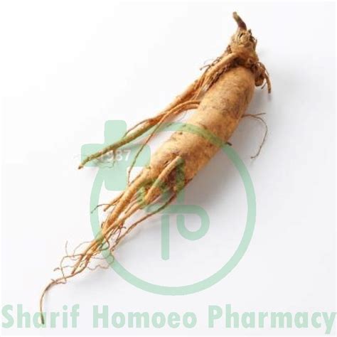 Ginseng Q Mt Sharif Homeo Pharmacy