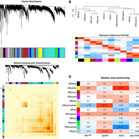 Identification Of Hub Genes And Functional Annotation Of The WGCNA