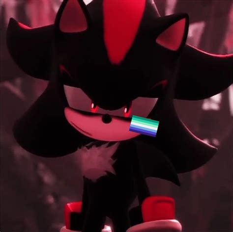 Shadow Gay Flag Pfp Shadow The Hedgehog Shadow Gay Flag