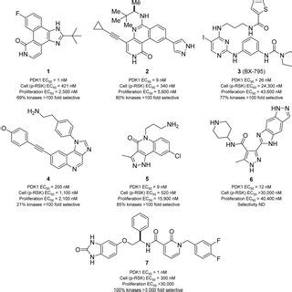 (PDF) Genetic and pharmacological inhibition of PDK1 in cancer cells ... 