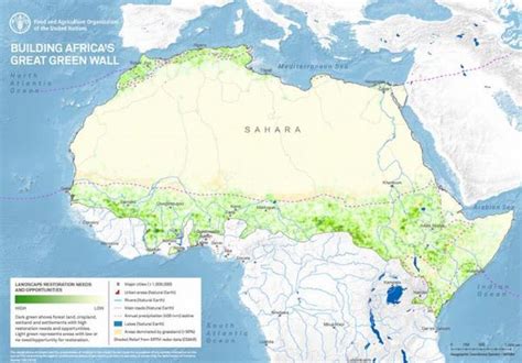 アフリカ大陸を横断する大規模緑化計画、「巨大な緑の壁」プロジェクトとは？ Switch News（スウィッチ・ニュース）