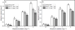 Effects Of Graphene Oxide On Atrazine Phytotoxicity Effects Of Graphene