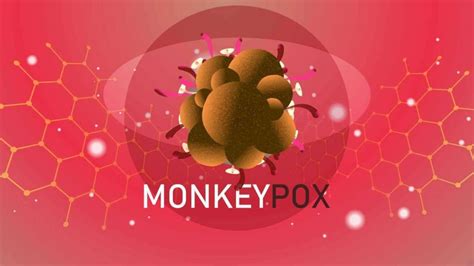 Maymun I E I Vir S Nedir Belirtileri Neler Monkeypox