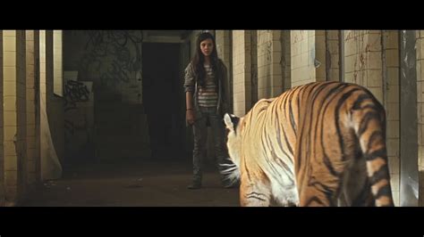 Tigers Are Not Afraid Imdb