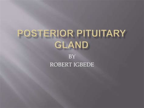 Posterior pituitary gland | PPT