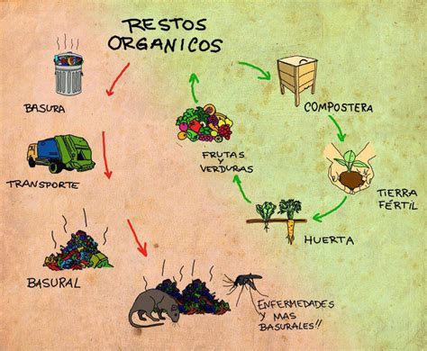 Que Processo Semelhante A Compostagem Ocorre Nos Ambientes Naturais