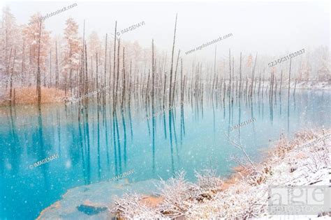 Blue Pond In Winter Stock Photo Picture And Royalty Free Image Pic