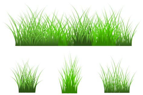 Grass Cartoon Grass Clipart Graphic By Cyudeshbuhu · Creative Fabrica