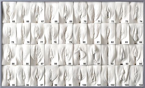 PUSSY VAGINA WALL Wich One Do YOU Prefer And WHY Porn Pictures XXX Photos Sex Images