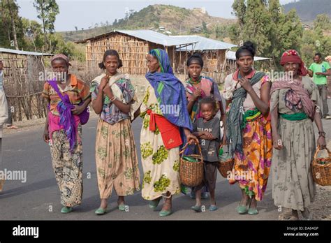 People, Oromo, Ethiopia, tribe, Africa, woman, donkey Stock Photo ...