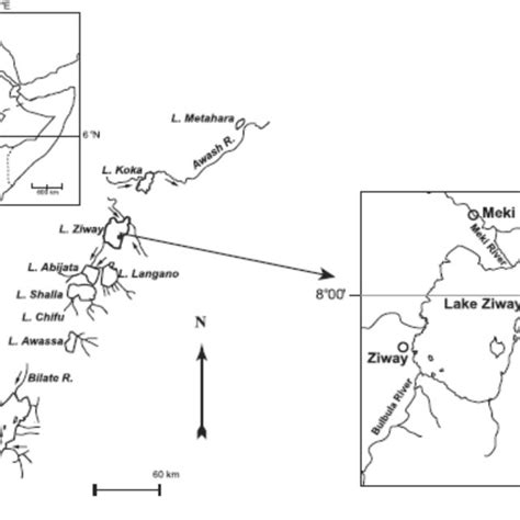 Map of Lake Ziway (adapted from Deribe et al. 2013) | Download ...