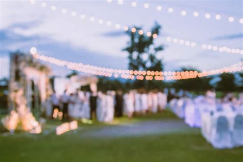 950+ Wedding Crowd Stock Photos, Pictures & Royalty-Free Images - iStock