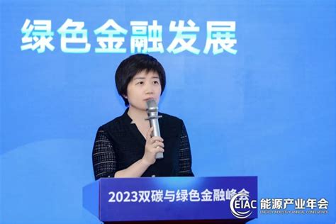 Iigf新闻中财大绿金院专家出席2023双碳与绿色金融峰会 中央财经大学绿色金融国际研究院