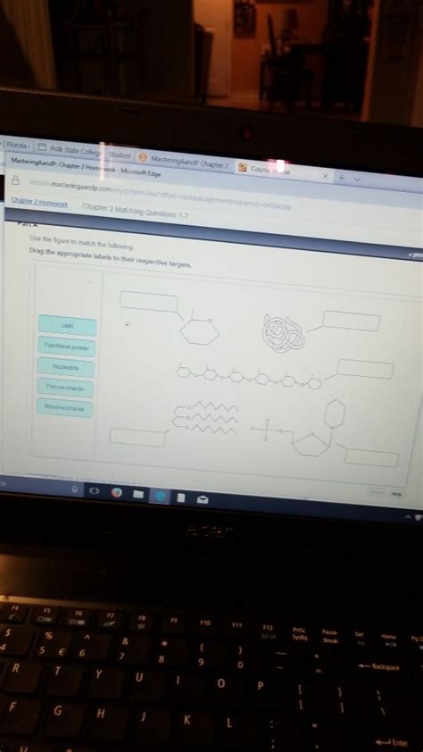 Solved Use The Figure To Match The Following Drag The Chegg