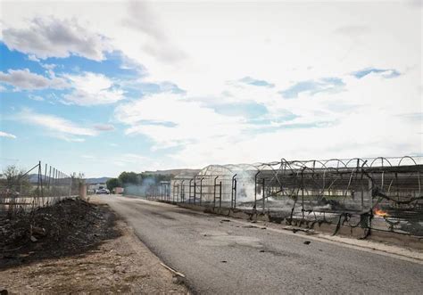 Arde un vivero en la pedanía oriolana de La Aparecida La Verdad