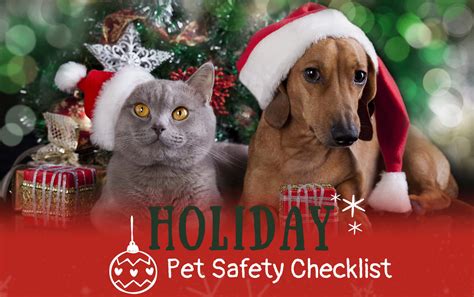 10 Holiday Pet Safety Tips Play