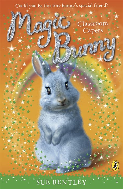 Magic Bunny Holiday Dreams By Sue Bentley Penguin Books New Zealand