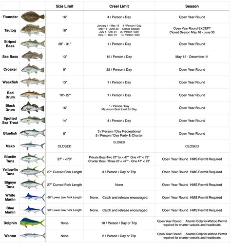 Maryland Fishing Regulations 2025: Licenses, Seasons, Limits & More