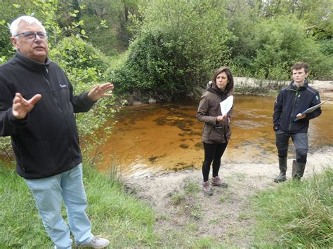 Belin Béliet Le site naturel du Graoux une mosaïque de milieux