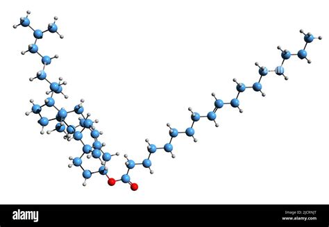 Cholesterol ester hi-res stock photography and images - Alamy