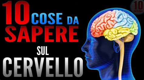 10 Cose Da Sapere Sul CERVELLO YouTube