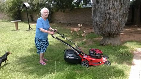 Lightest Petrol Lawnmower Factory Buy Pinnaxis